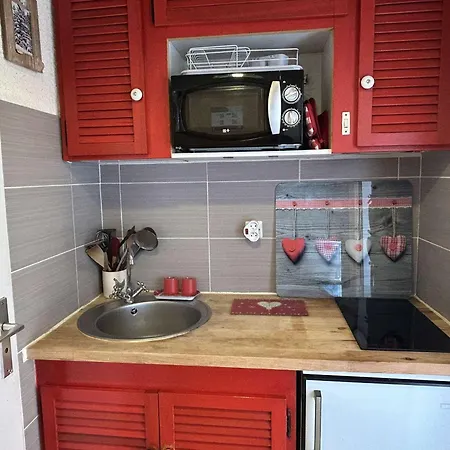 Familial 4 Pers Avec Balcon, Casier Skis, Animaux Admis - Fr-1-594-332