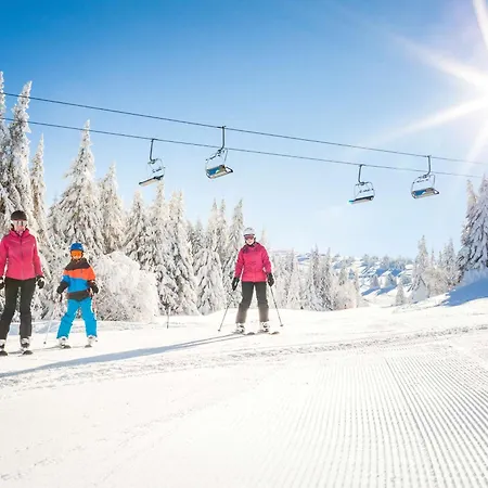 Apartman Familial 4 Pers Avec Balcon, Casier Skis, Animaux Admis - Fr-1-594-332 *